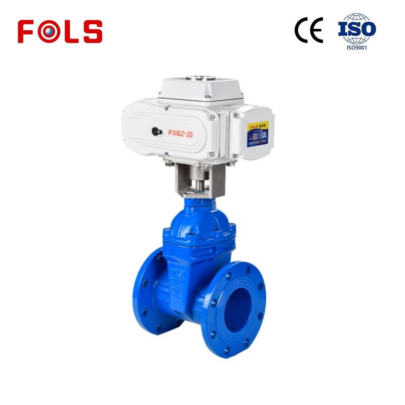 Customizable Electric Gate Valve for Specific Projects