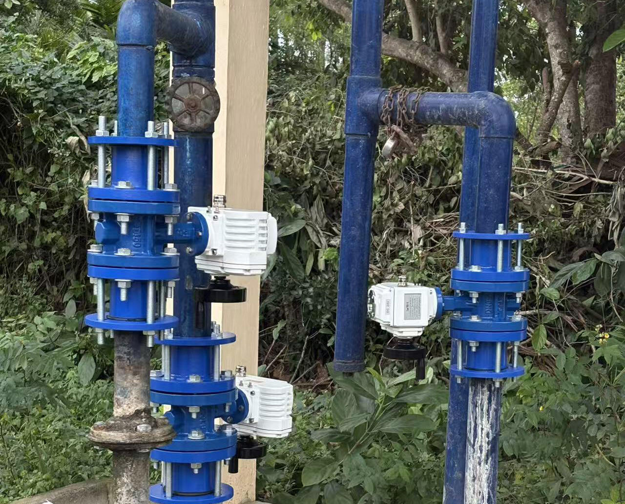 What customization options fit project bulk electric valve purchases?