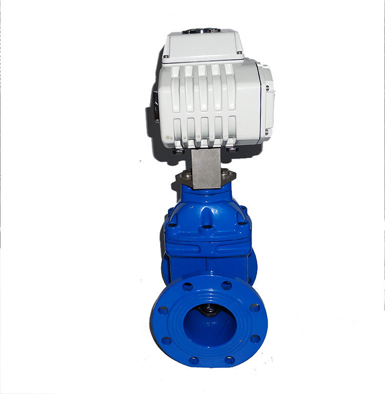 Customizable Electric Gate Valve for Specific Projects