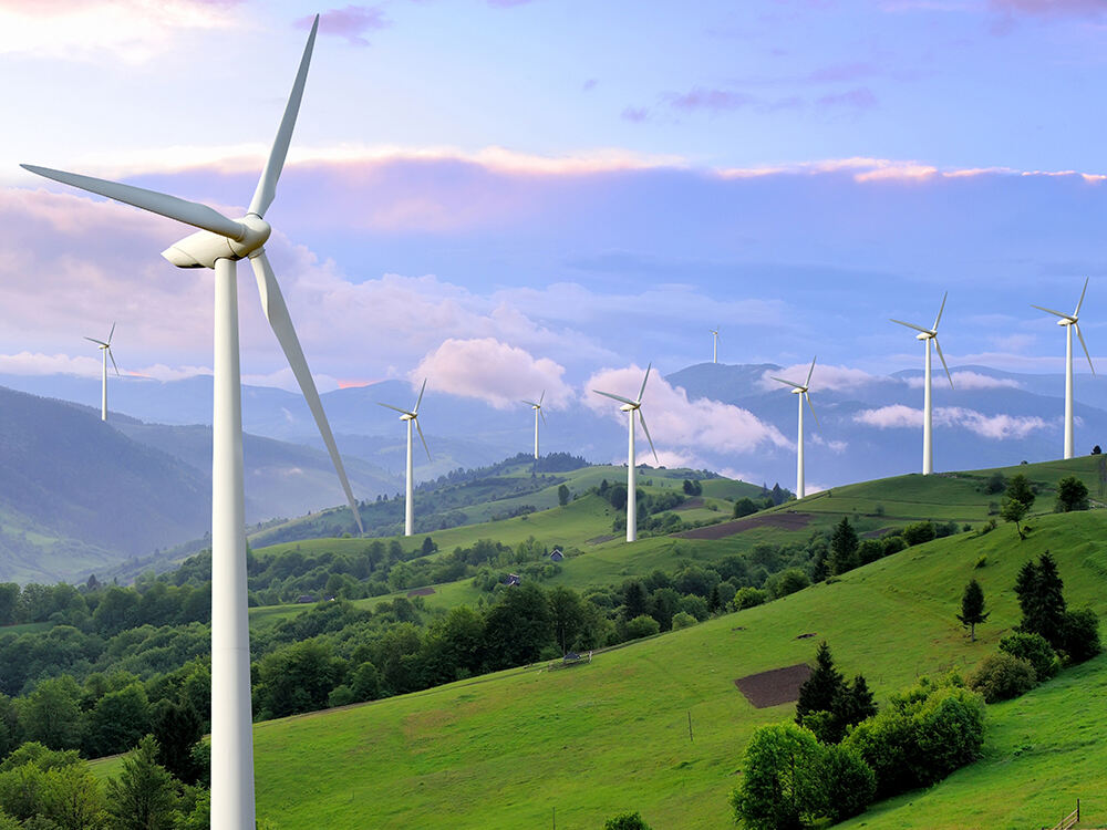 Wind energy field.jpg