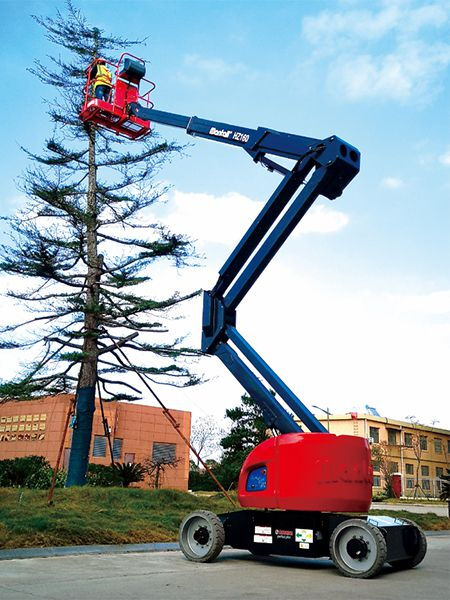 Tree Trimming