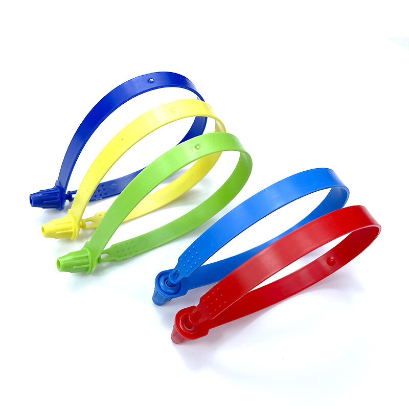 25cm plastic hang tag string lock garment seal plastic hanging tag disposable tight tamper plastic seal-3