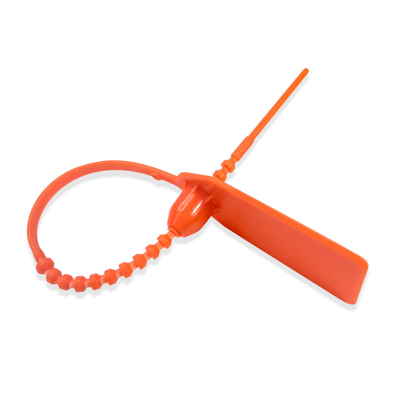 customized plastic safety seals for truck plastic safety seal-5