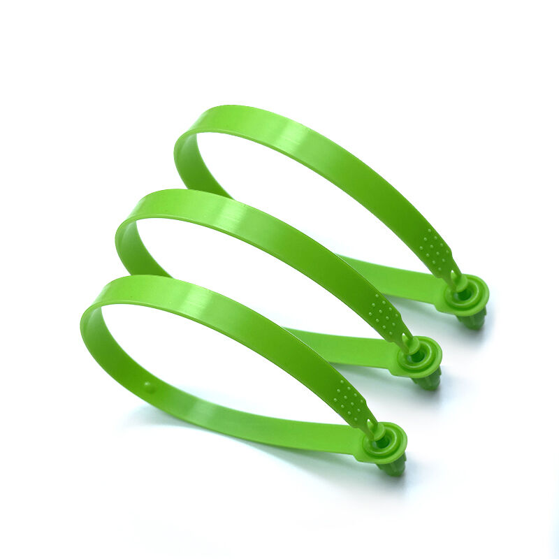 25cm plastic hang tag string lock garment seal plastic hanging tag disposable tight tamper plastic seal-4