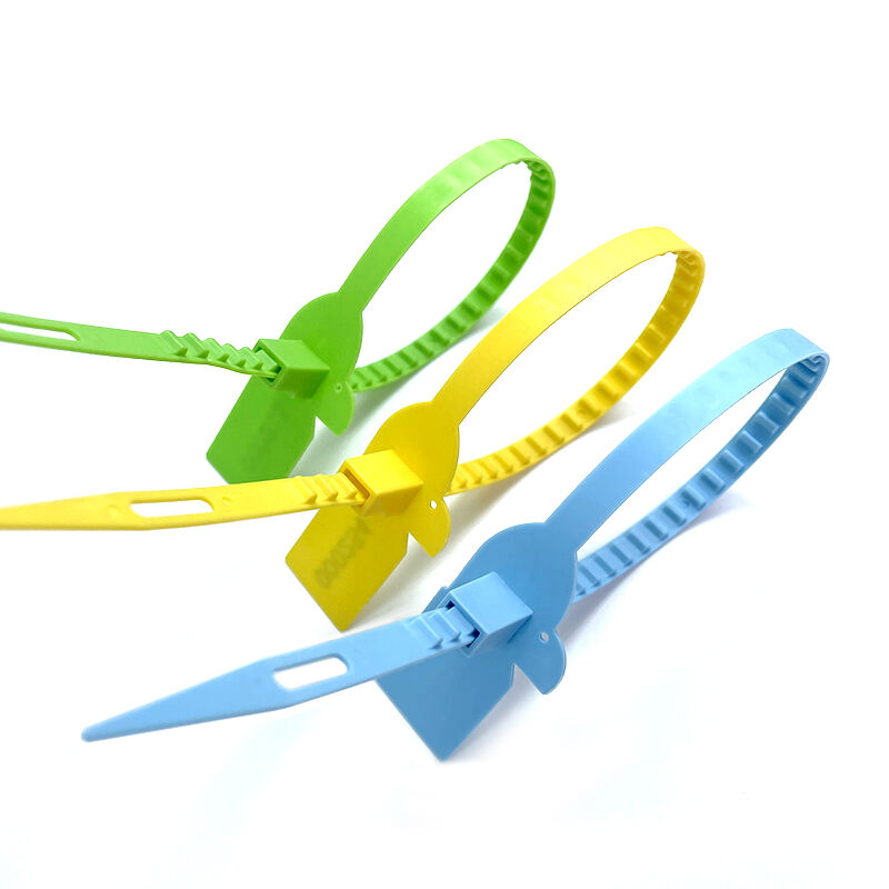 Plastic Seal Lock Strip with Factory Pull Tight Container Security Plastic Seal with Tag