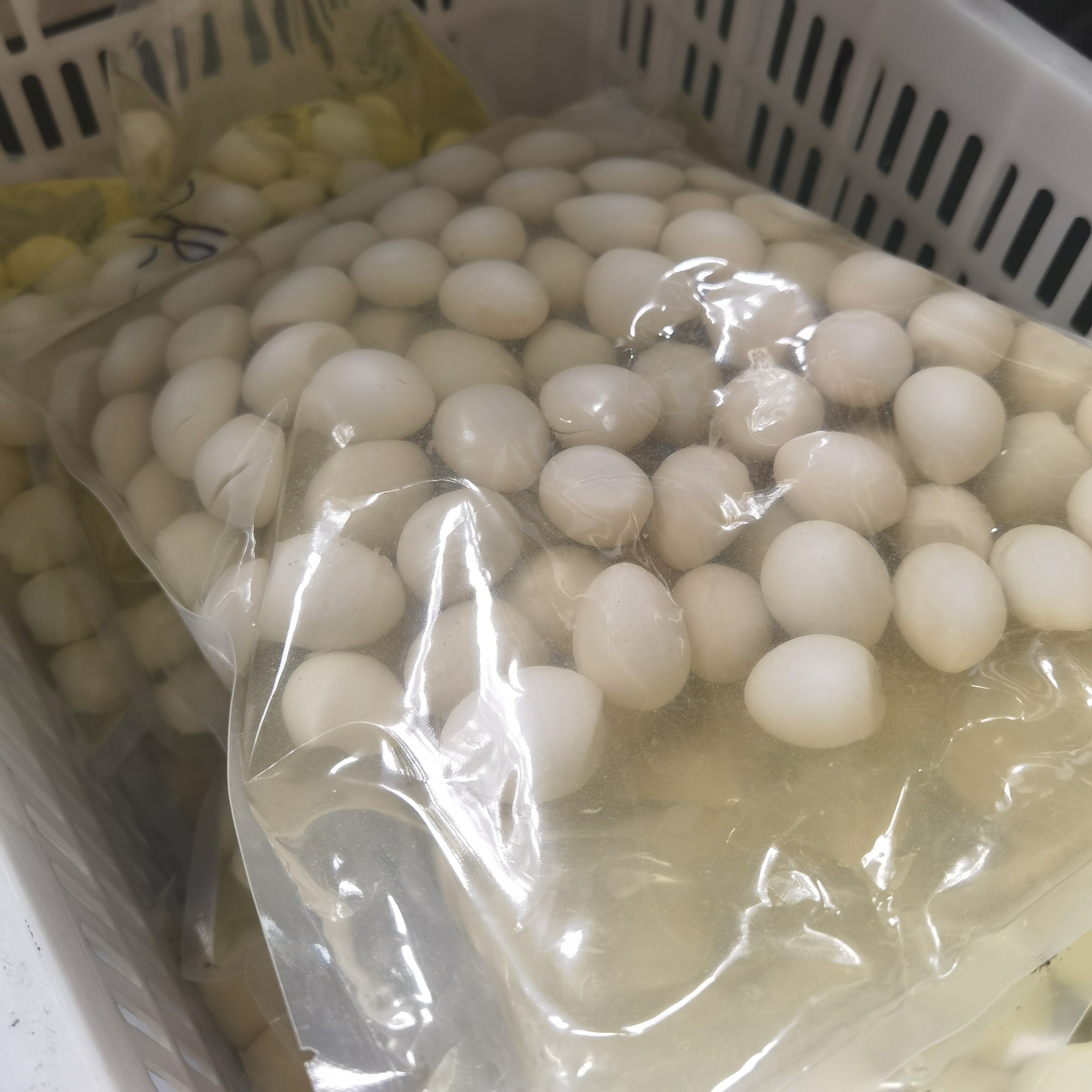 30 quail eggs per bag