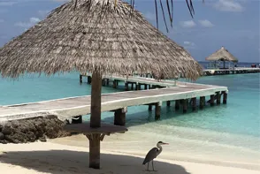 Maldivien Eriyadu Island Resort