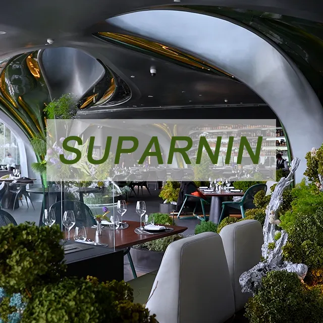 Εστιατόριο Σουπαρνιν