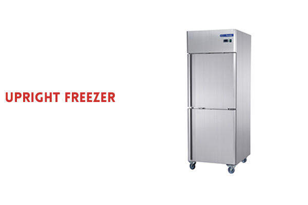 2 Doors  Fancooling Upright Freezer.jpg