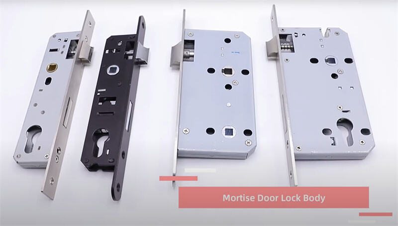  Intelliware mortise door lock body