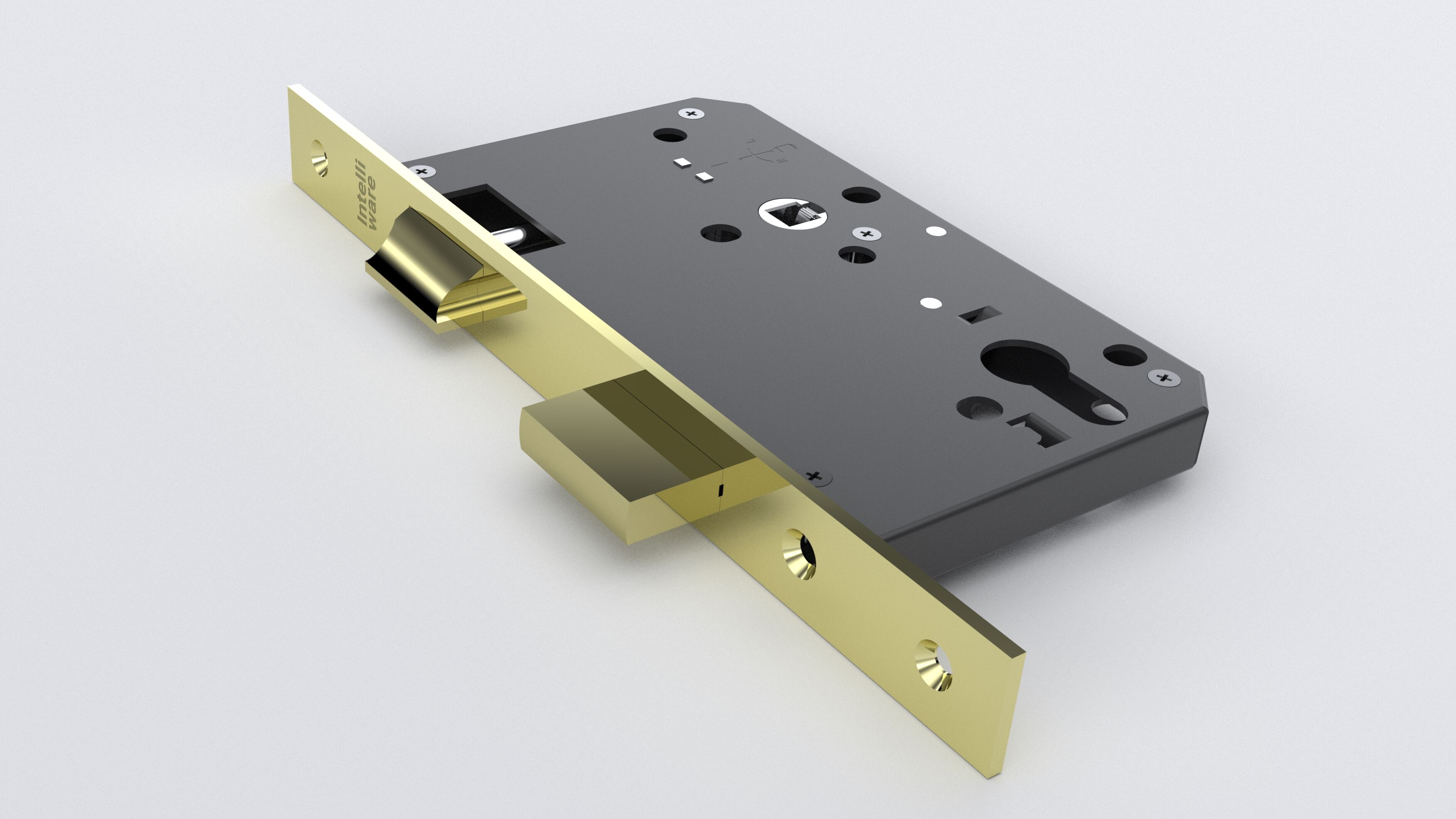 Mortise Door Lock