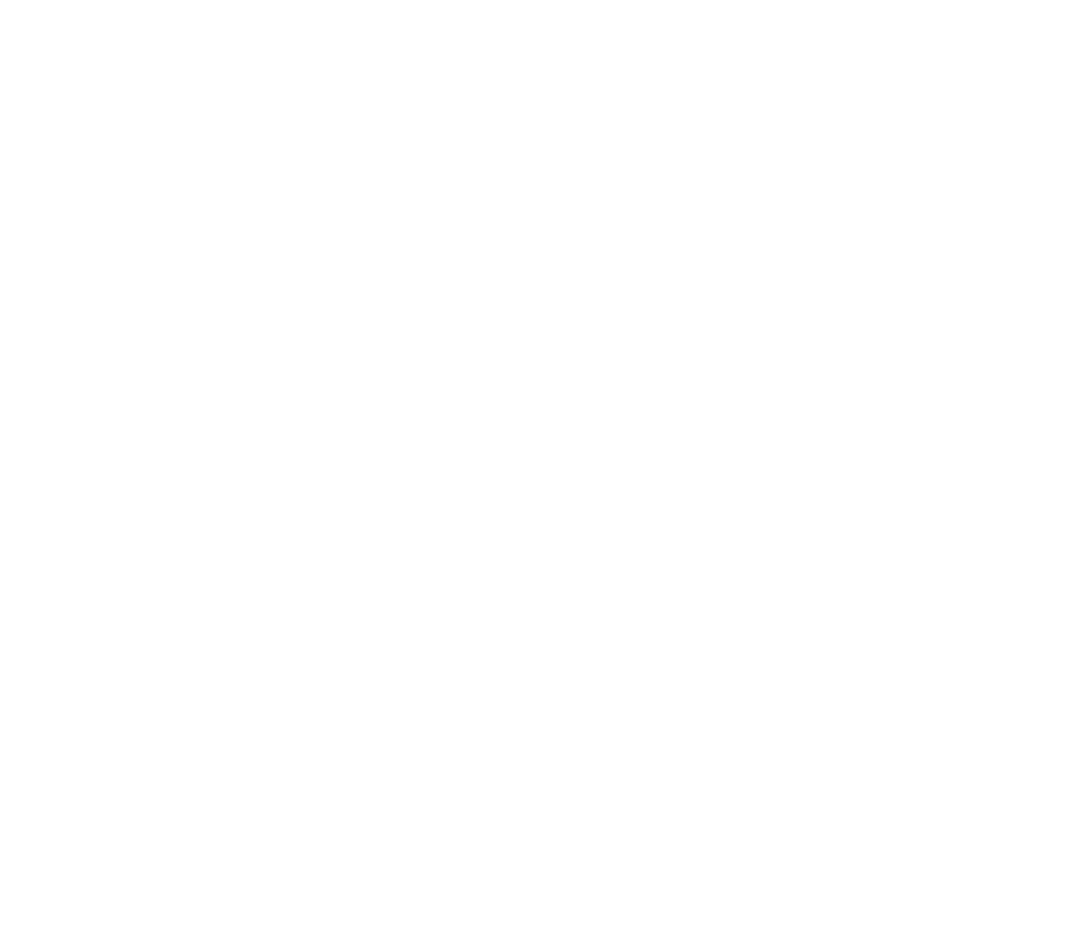 Electric Wheelchair