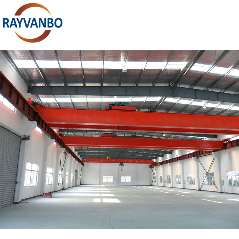 Heavy-Duty Industrial Bridge Crane | Reliable Overhead Lifting Equipment