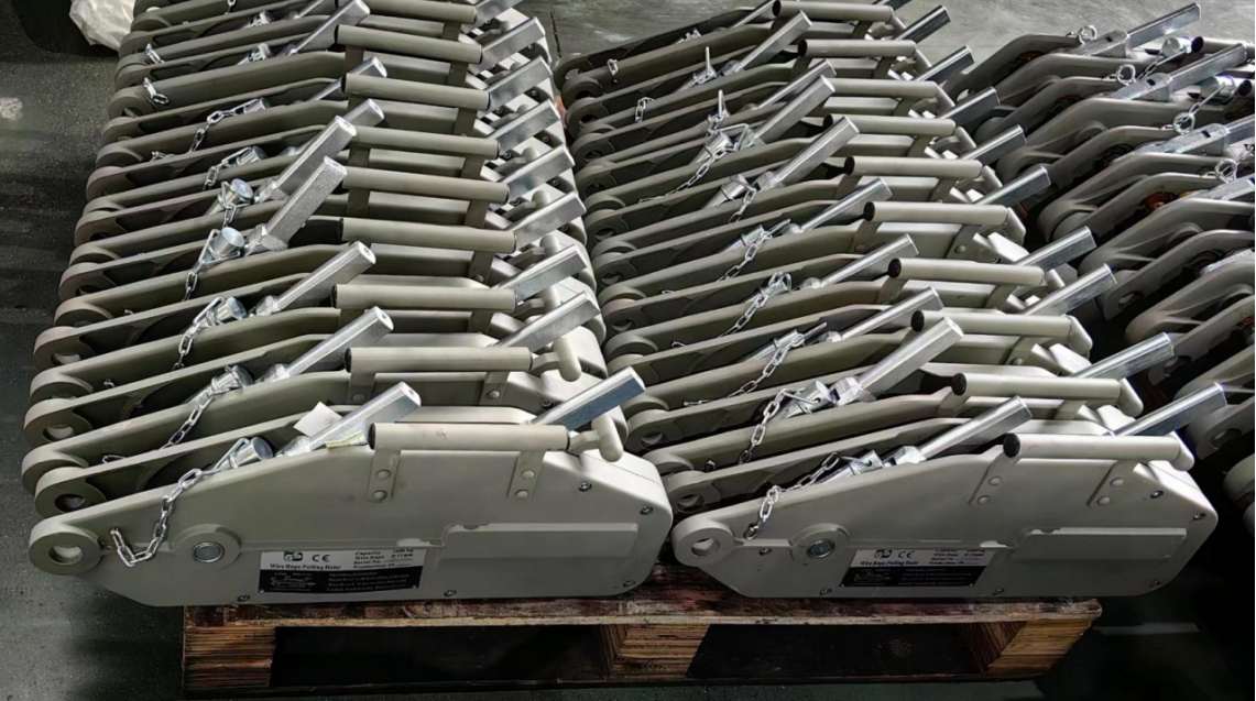 rayvanbo 40 sets 16t wire rope pulling hoist to cyprus client-0