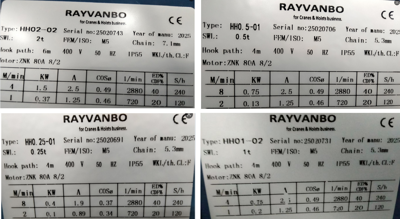 rayvanbo 50 sets european electric chain hoists for hungary client-7