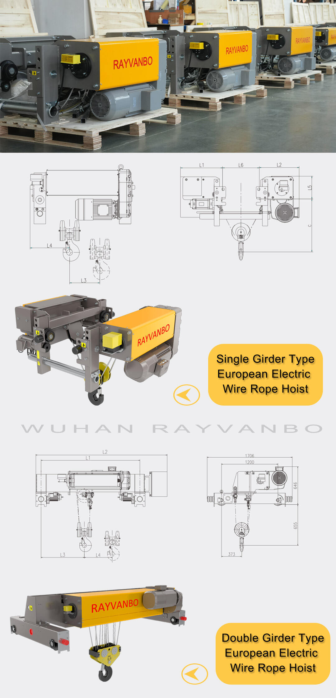 Europeanize-type-wire-rope-hoist-Rayvanbo-details1.jpg