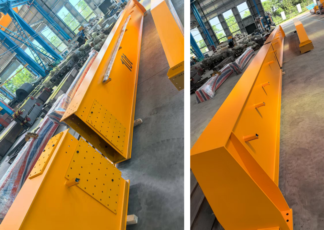 Rayvanbo European Type Overhead Crane Customized for Argentine Customer