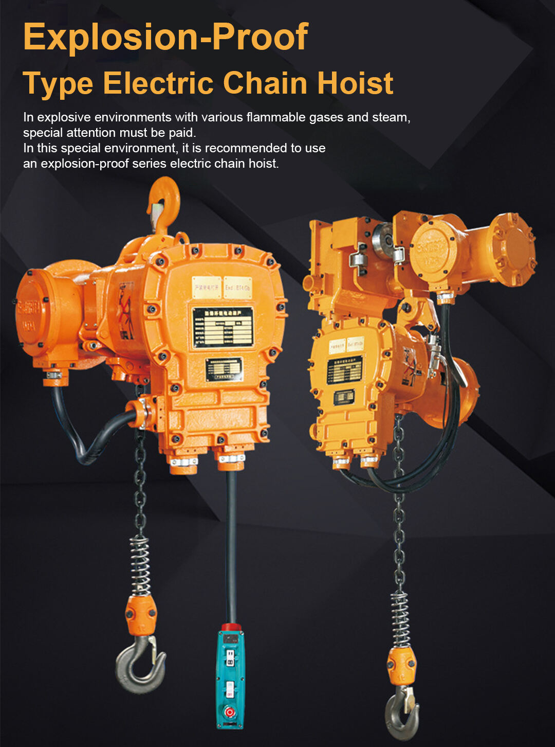 Explosion-proof chain hoist details-Rayvanbo.jpg