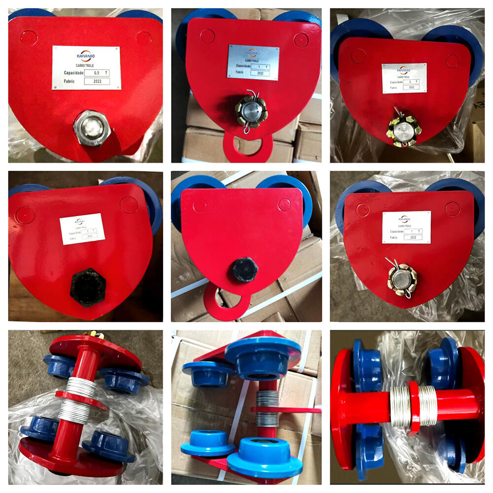 Manual-Hoist-Trolley-RAYVANBO(11).jpg