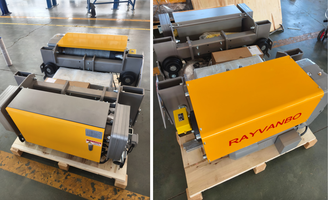 Rayvanbo European Type Overhead Crane Customized for Argentine Customer
