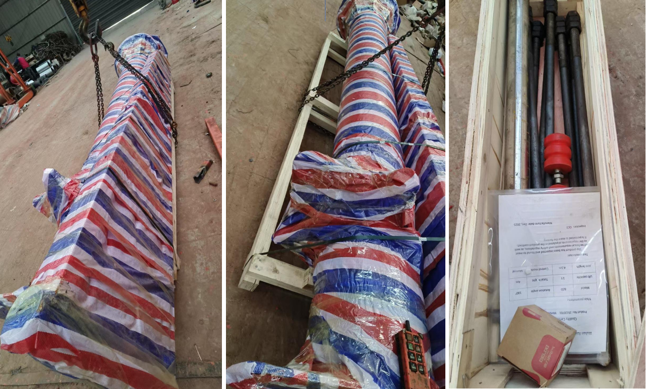 Rayvanbo 1T Manual rotation JIB crane with electric chain hoist to UAE