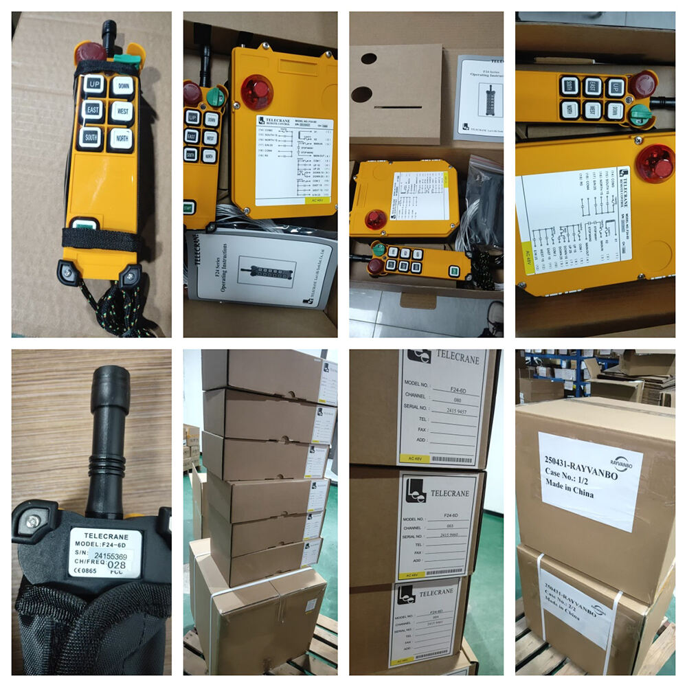 F24-6D RAYVANBO(11).jpg