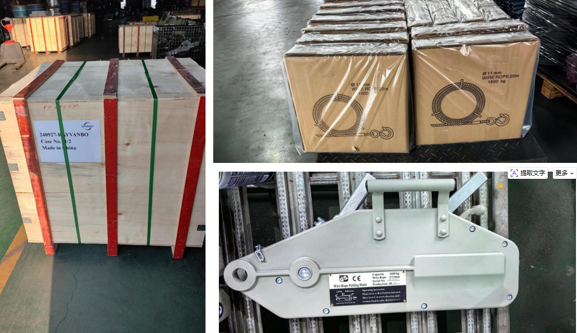 rayvanbo 40 sets 16t wire rope pulling hoist to cyprus client-6