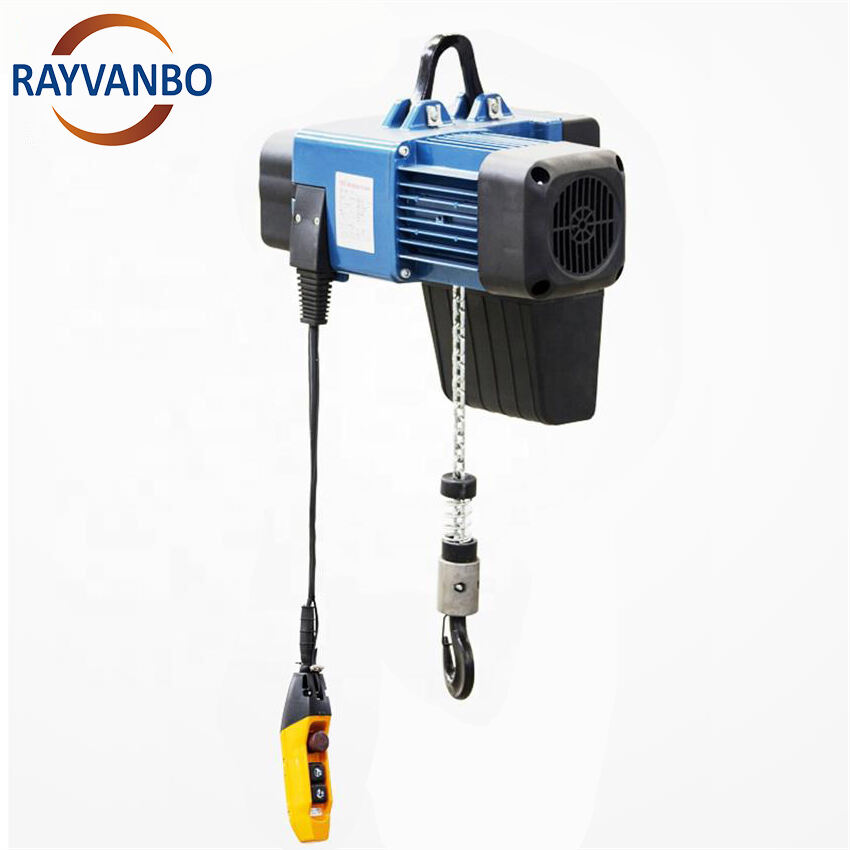 European Standard 125kg 250kg 500 kg 1t 2t Electric & Manual Trolley Traveling & Hook Type HH Electric Chain Hoist