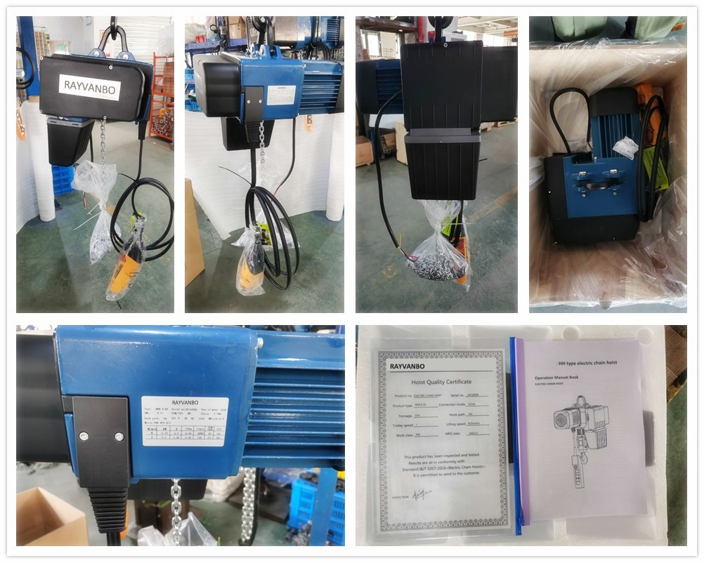 500kg 4M Hook Type European type electric chain hoist-Rayvanbo.png