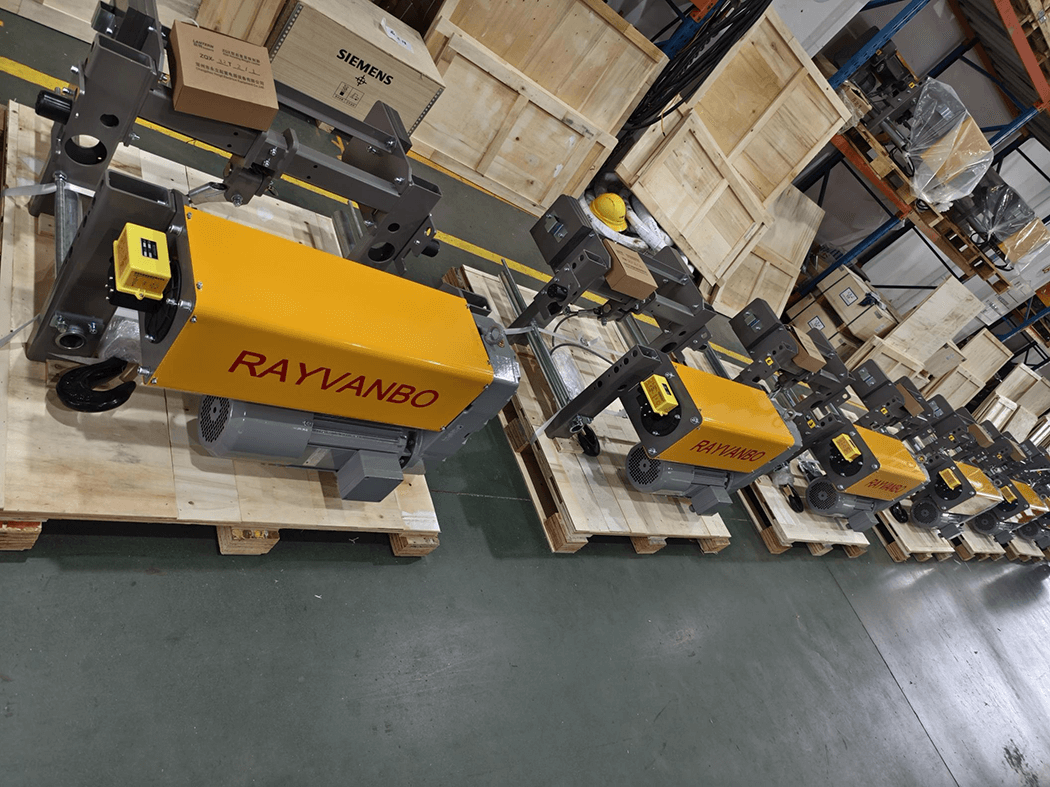 Rayvanbo Treuils électriques européens à câble d'acier pour client malaisien