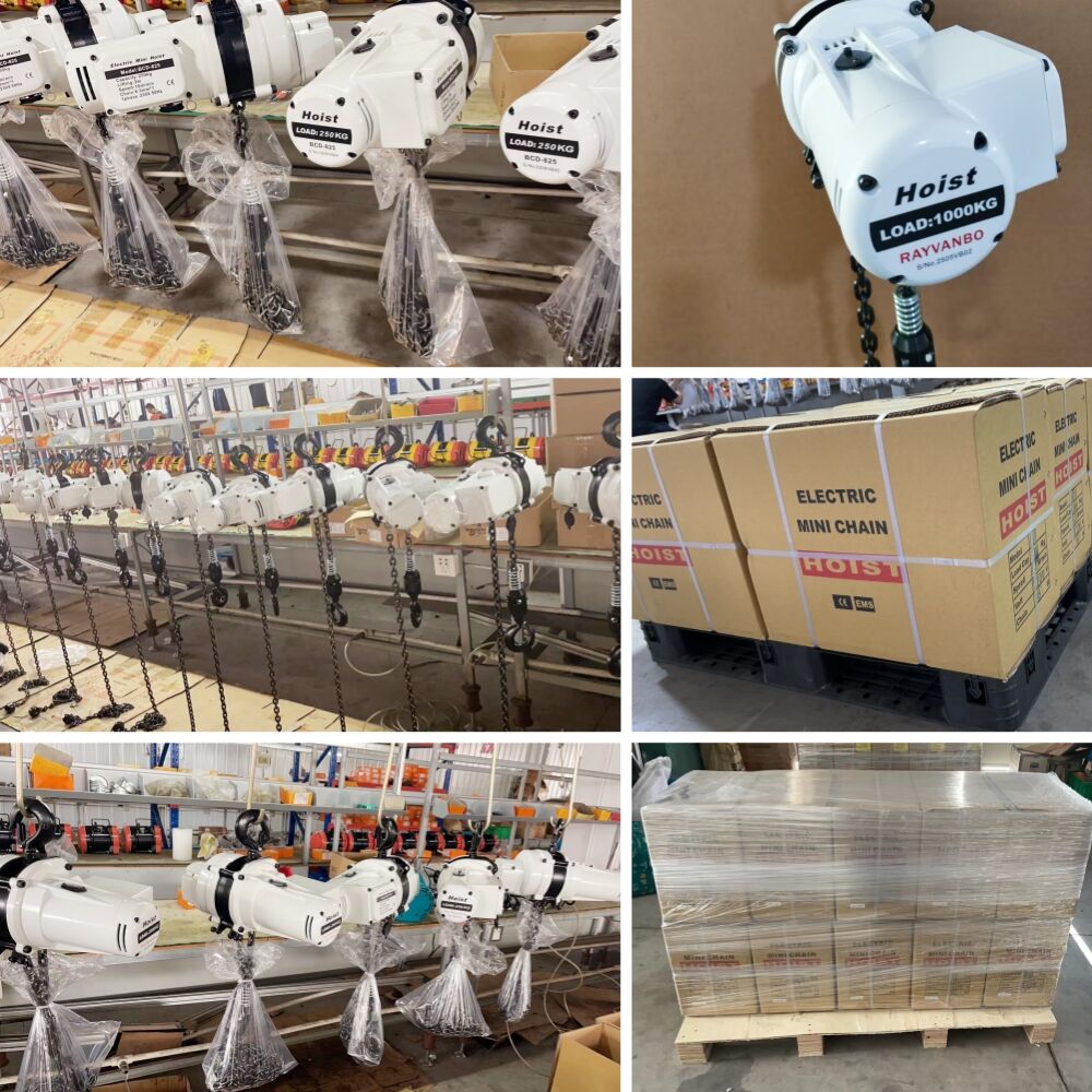Mini electric chain hoist-Rayvanbo.jpg