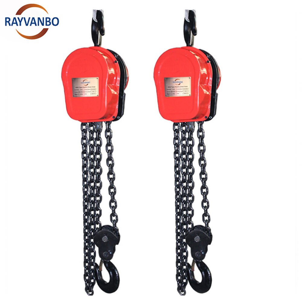 1 Ton 2 Ton 3 Ton 5 Ton 10 Ton Customizable DHS Type Electric Chain Hoist 