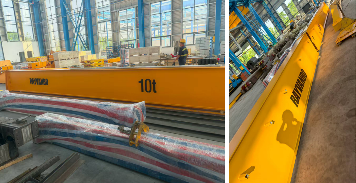 Rayvanbo European Type Overhead Crane Customized for Argentine Customer