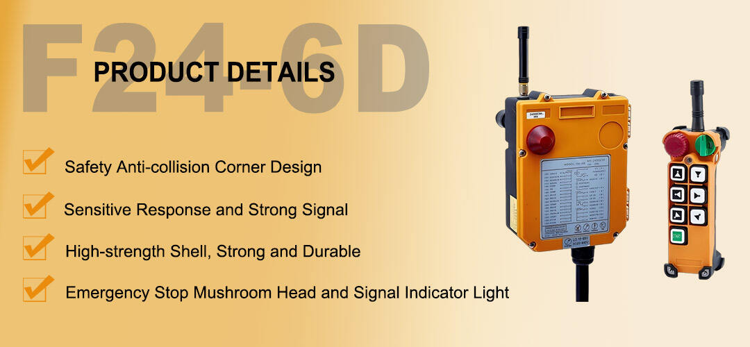 F24-6D RAYVANBO(6).jpg