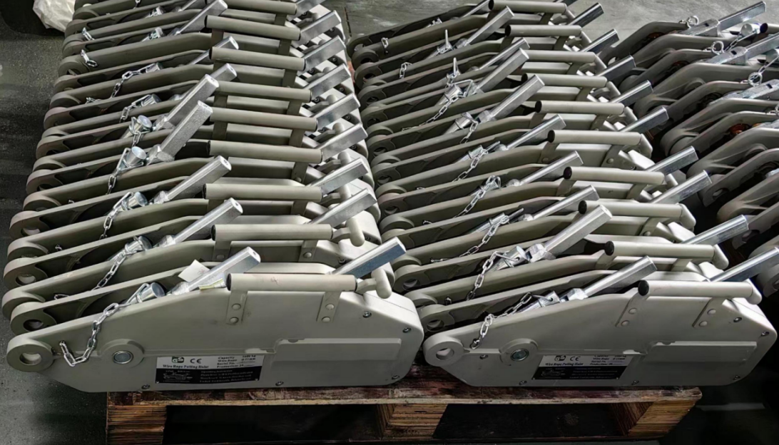 Rayvanbo 40 sets 1.6T Wire Rope Pulling Hoist to Cyprus Client