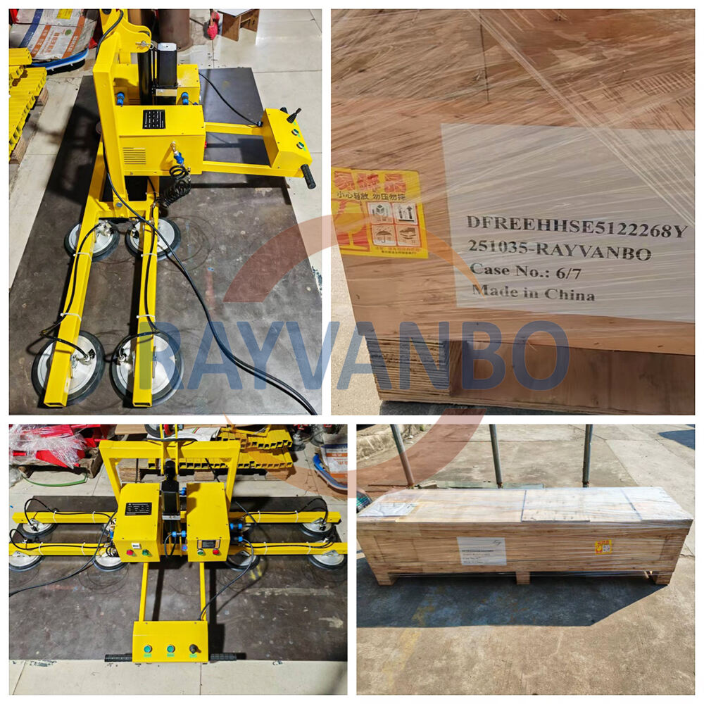 Les extracteurs sous vide Rayvanbo correctement expédiés au client polonais