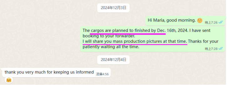 rayvanbo 5 sets er type electric chain hoist customized for uruguay customer-4