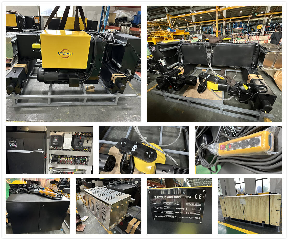 Europeanize type wire rope hoist-Rayvanbo shipping.jpg