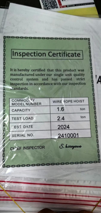 rayvanbo 40 sets 16t wire rope pulling hoist to cyprus client-1