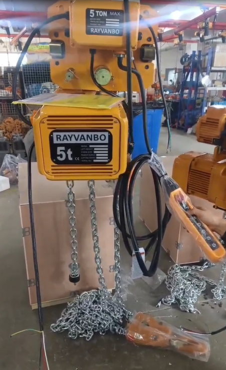 rayvanbo 5 sets er type electric chain hoist customized for uruguay customer-1