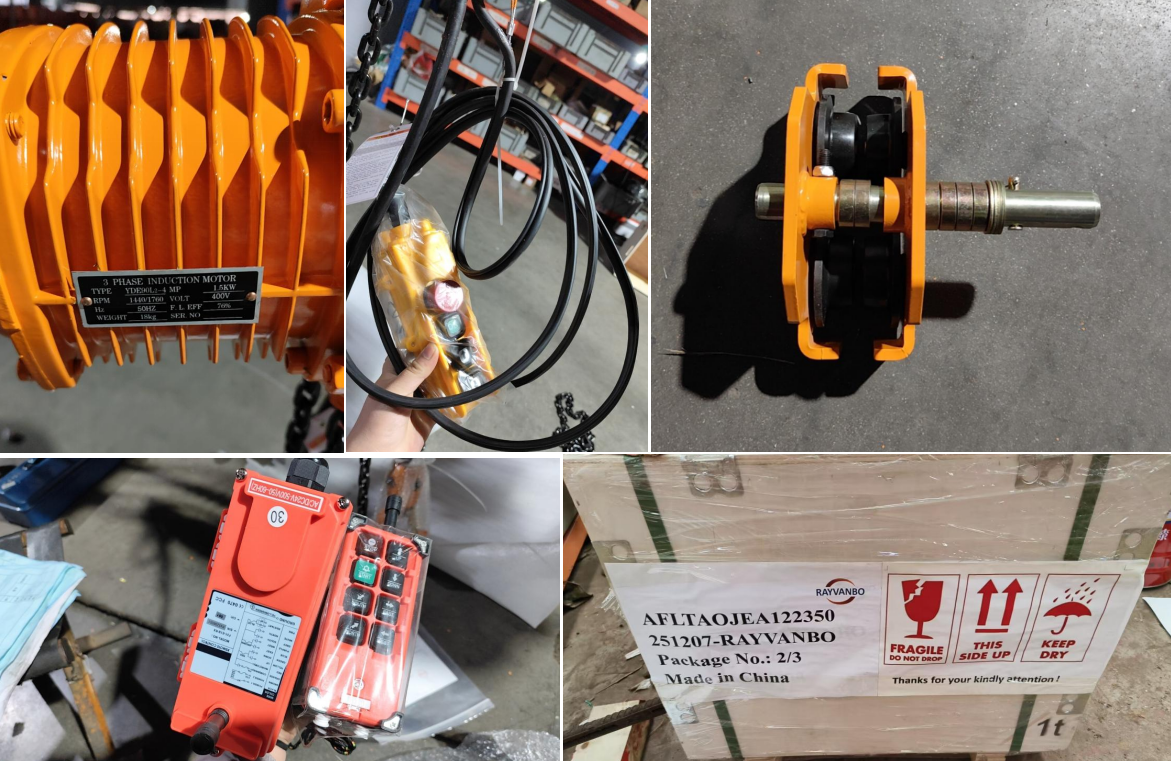 Rayvanbo 1T Manual rotation JIB crane with electric chain hoist to UAE