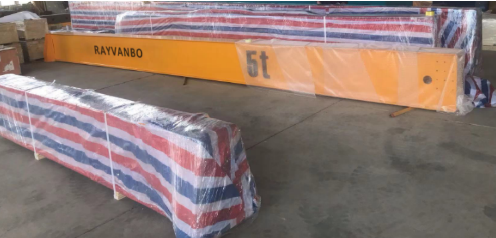 Rayvanbo 5T and 10Ton Overhead Crane to Brazilian Customer