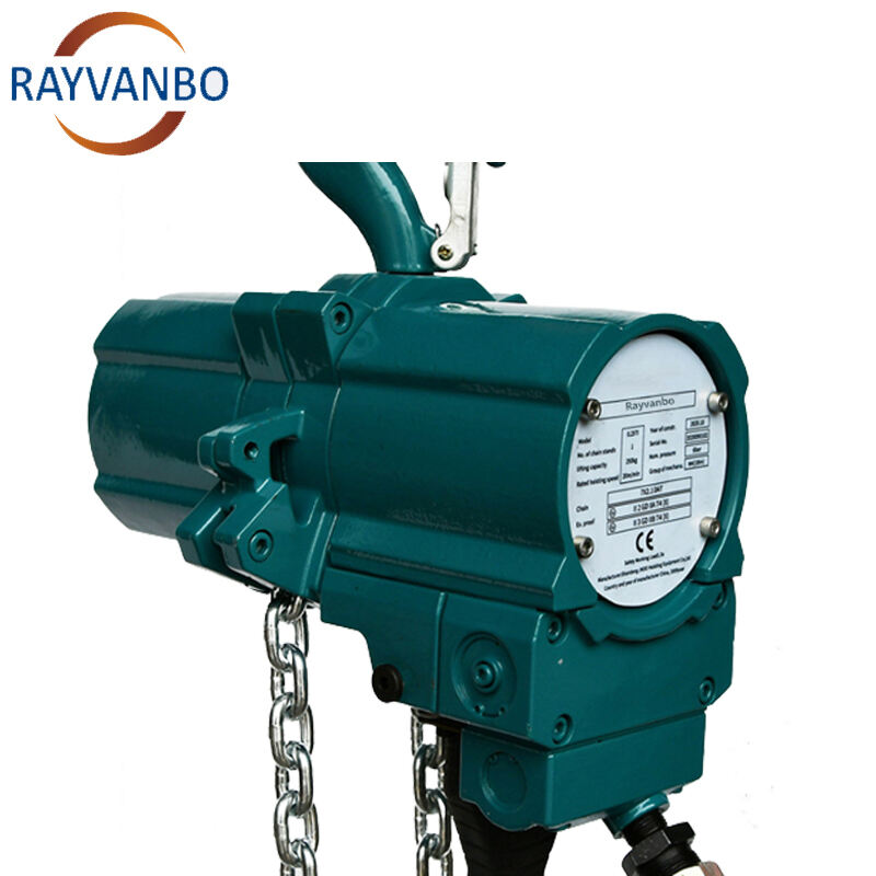 Air Chain Hoist | Explosion-Proof Precision Lifting | Free Safety Audit + Quote