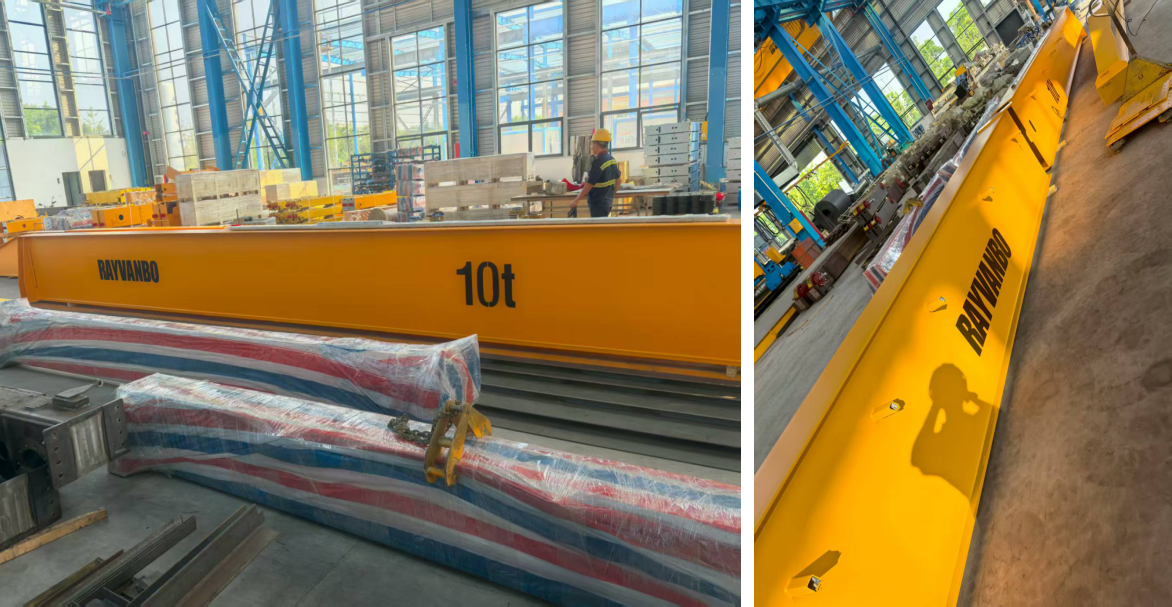 Rayvanbo European Type Overhead Crane Customized for Argentine Customer