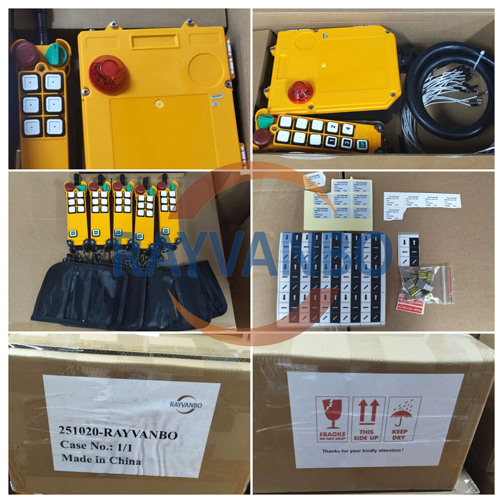 Rayvanbo Cyprus customer customized industrial remote control successfully shipped