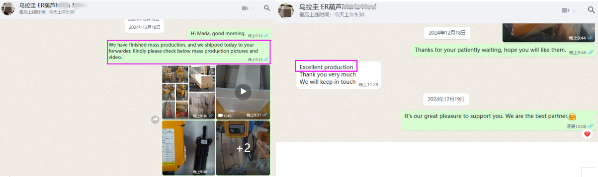 rayvanbo 5 sets er type electric chain hoist customized for uruguay customer-5