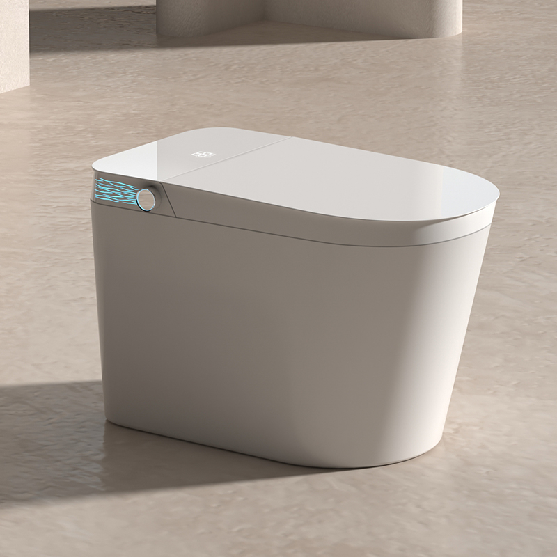 Embrace the Hygiene Revolution: The Future Journey of Smart Toilets