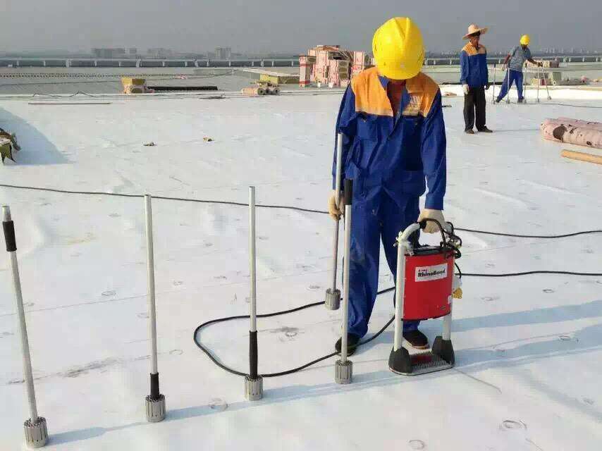 tpo.jpg