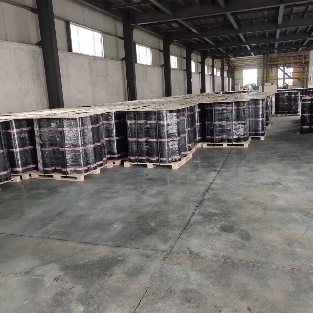 5.4_çå¾ç.jpg