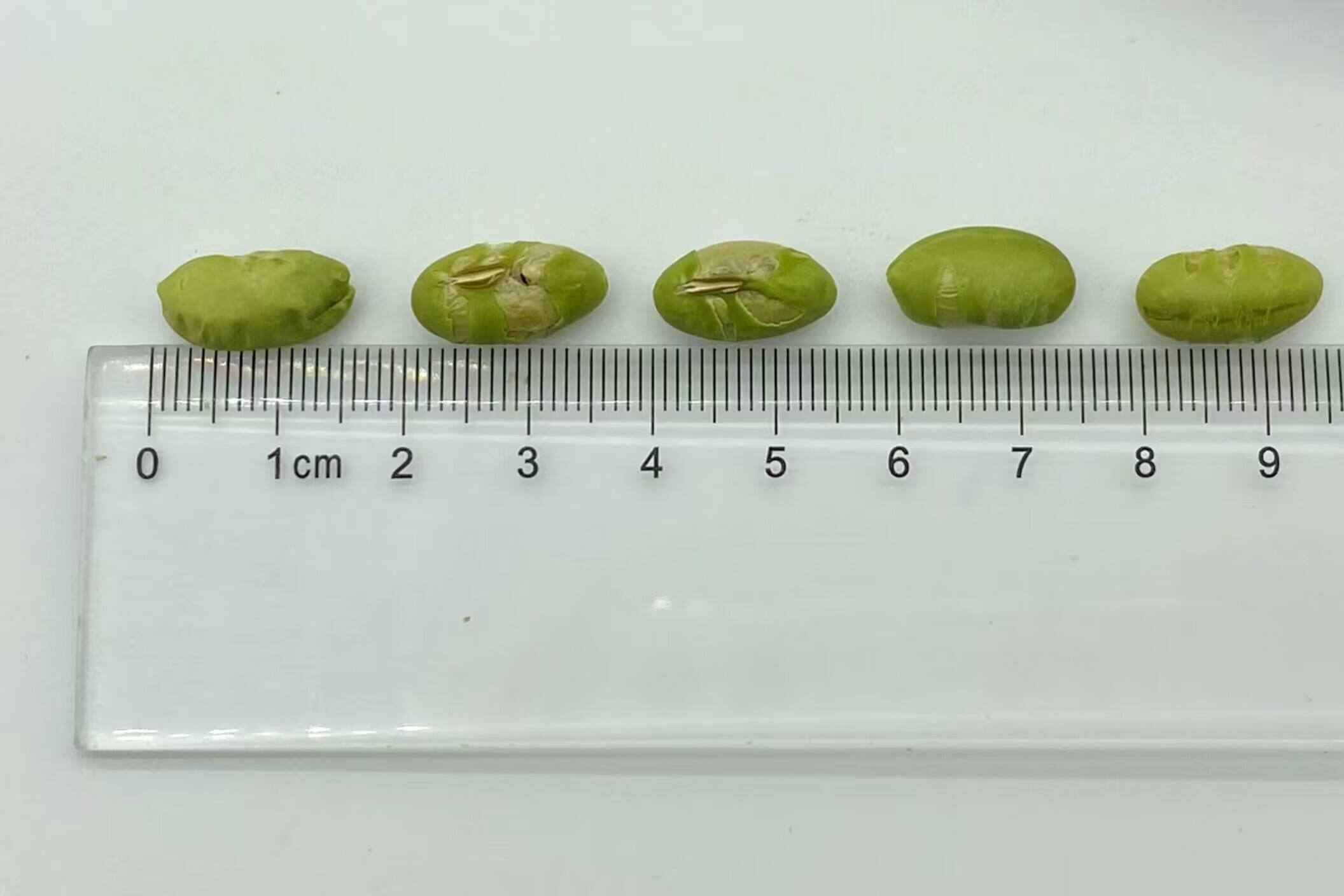 Advanced Quality Control System